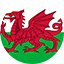 Welsh Flag (1)
